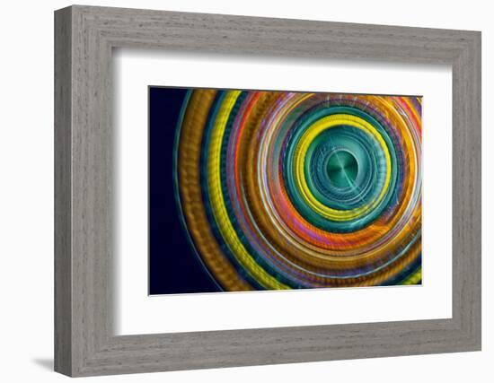 Botanical wheel-Heidi Westum-Framed Photographic Print