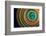 Botanical wheel-Heidi Westum-Framed Photographic Print