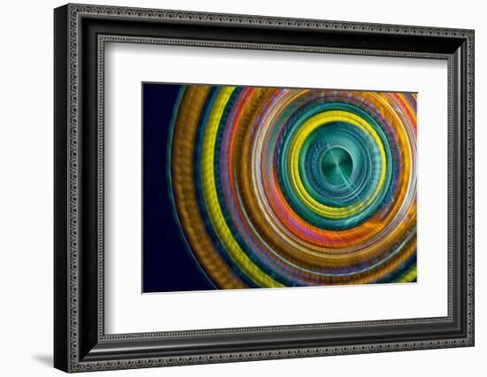 Botanical wheel-Heidi Westum-Framed Photographic Print