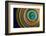 Botanical wheel-Heidi Westum-Framed Photographic Print