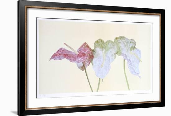 Botanical-Carol Ann Bolt-Framed Collectable Print