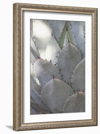 Botanicals Focus - Prosper-Tony Koukos-Framed Giclee Print