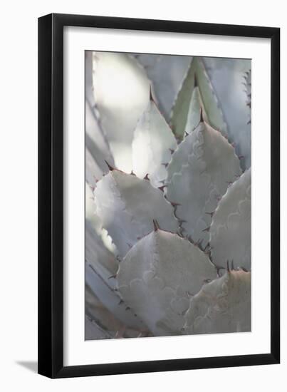 Botanicals Focus - Prosper-Tony Koukos-Framed Giclee Print