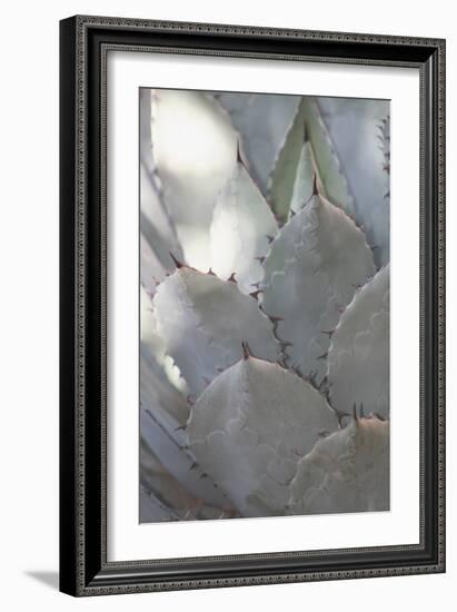 Botanicals Focus - Prosper-Tony Koukos-Framed Giclee Print