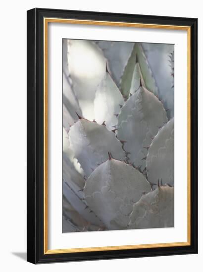 Botanicals Focus - Prosper-Tony Koukos-Framed Giclee Print