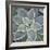 Botanicals Focus - Thrive-Tony Koukos-Framed Giclee Print