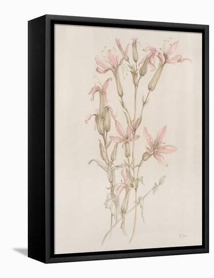 Botanicals I-Rikki Drotar-Framed Premier Image Canvas