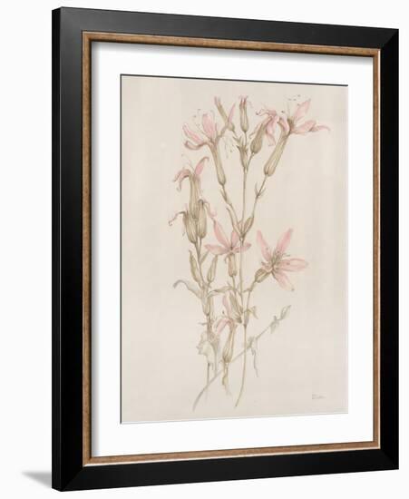 Botanicals I-Rikki Drotar-Framed Giclee Print