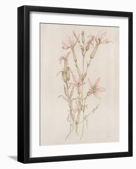 Botanicals I-Rikki Drotar-Framed Giclee Print