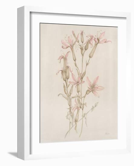 Botanicals I-Rikki Drotar-Framed Giclee Print