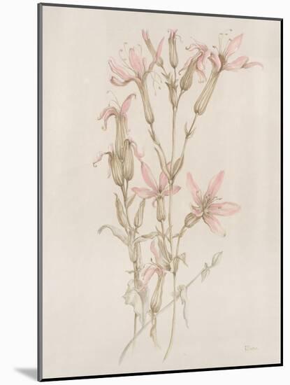 Botanicals I-Rikki Drotar-Mounted Giclee Print