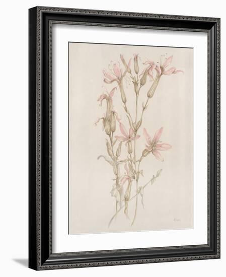 Botanicals I-Rikki Drotar-Framed Giclee Print