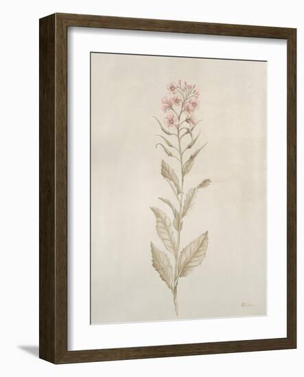 Botanicals II-Rikki Drotar-Framed Giclee Print