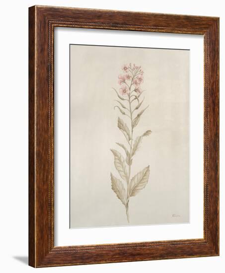 Botanicals II-Rikki Drotar-Framed Giclee Print