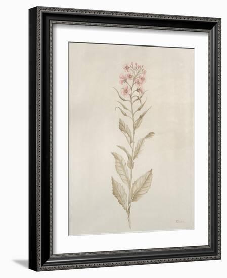 Botanicals II-Rikki Drotar-Framed Giclee Print