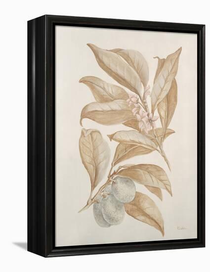 Botanicals III-Rikki Drotar-Framed Premier Image Canvas