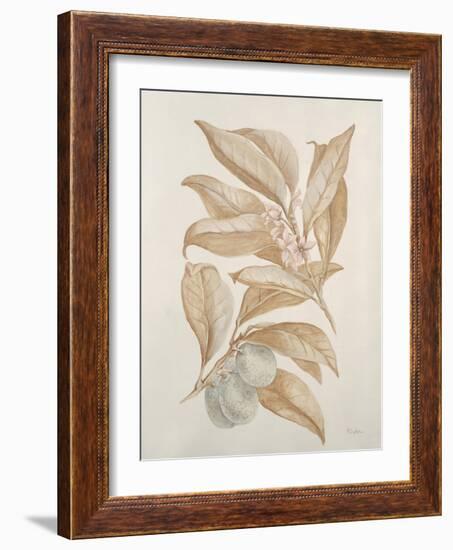 Botanicals III-Rikki Drotar-Framed Giclee Print