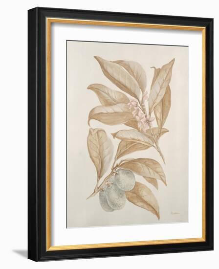 Botanicals III-Rikki Drotar-Framed Giclee Print