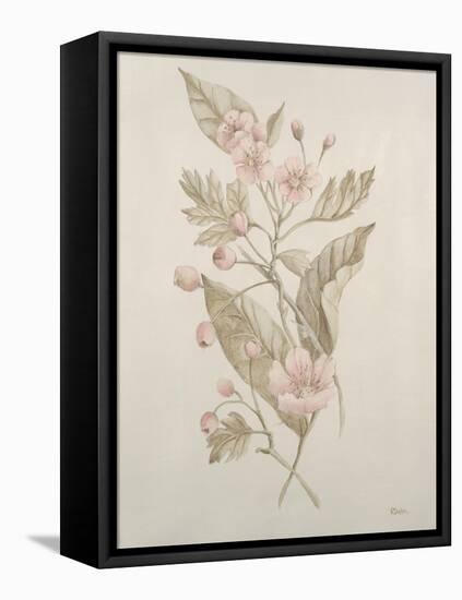 Botanicals IV-Rikki Drotar-Framed Premier Image Canvas