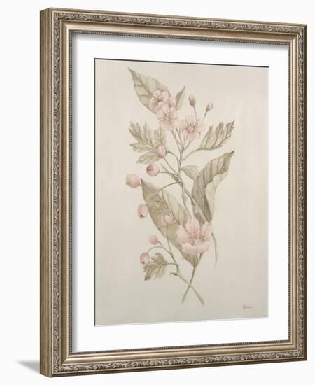 Botanicals IV-Rikki Drotar-Framed Giclee Print