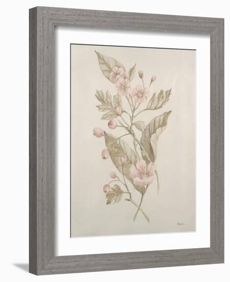 Botanicals IV-Rikki Drotar-Framed Giclee Print