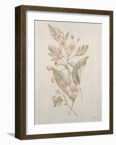 Botanicals IV-Rikki Drotar-Framed Giclee Print