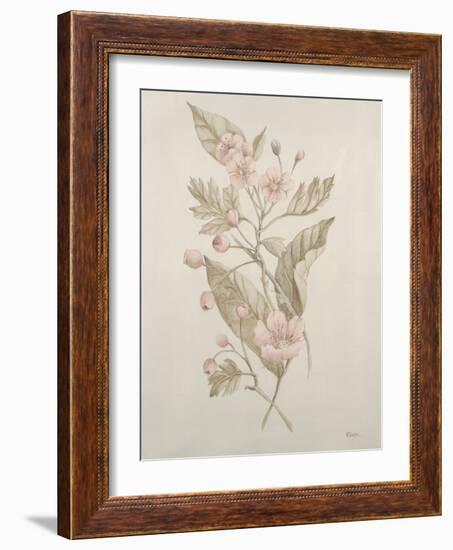 Botanicals IV-Rikki Drotar-Framed Giclee Print