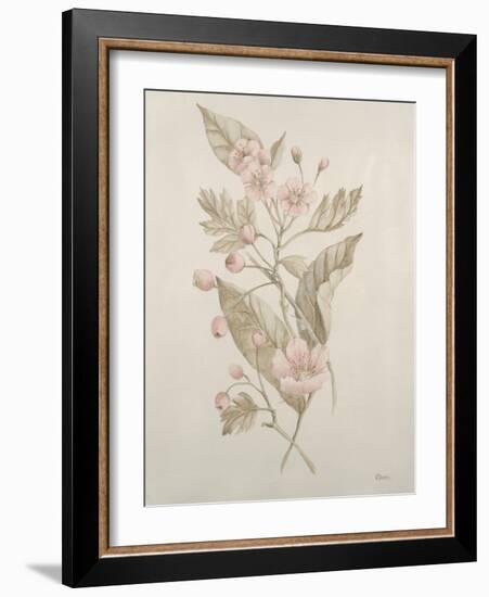 Botanicals IV-Rikki Drotar-Framed Giclee Print