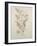 Botanicals IV-Rikki Drotar-Framed Giclee Print