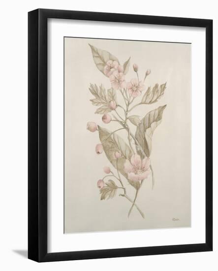 Botanicals IV-Rikki Drotar-Framed Giclee Print