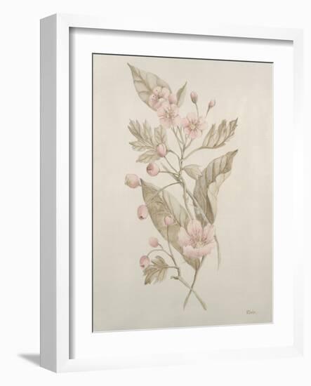 Botanicals IV-Rikki Drotar-Framed Giclee Print