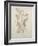 Botanicals IV-Rikki Drotar-Framed Giclee Print