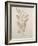 Botanicals IV-Rikki Drotar-Framed Giclee Print