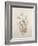 Botanicals IX-Rikki Drotar-Framed Giclee Print