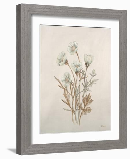 Botanicals IX-Rikki Drotar-Framed Giclee Print