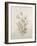 Botanicals IX-Rikki Drotar-Framed Giclee Print