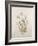 Botanicals IX-Rikki Drotar-Framed Giclee Print