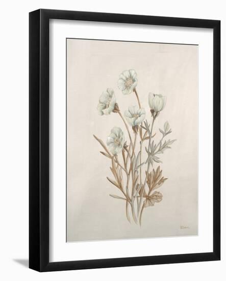 Botanicals IX-Rikki Drotar-Framed Giclee Print