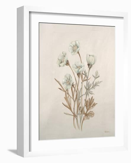 Botanicals IX-Rikki Drotar-Framed Giclee Print