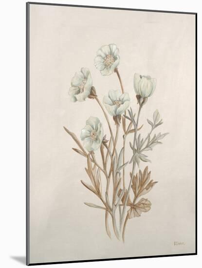 Botanicals IX-Rikki Drotar-Mounted Giclee Print