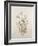 Botanicals IX-Rikki Drotar-Framed Giclee Print