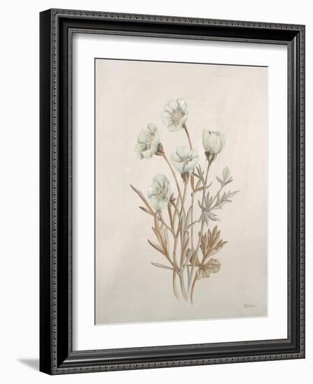 Botanicals IX-Rikki Drotar-Framed Giclee Print