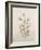 Botanicals IX-Rikki Drotar-Framed Giclee Print