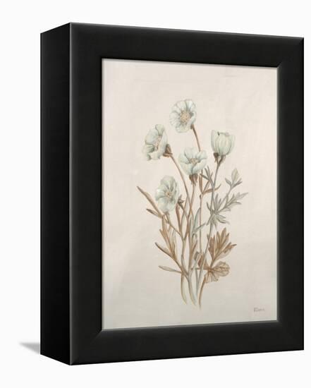 Botanicals IX-Rikki Drotar-Framed Premier Image Canvas