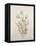 Botanicals IX-Rikki Drotar-Framed Premier Image Canvas