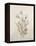 Botanicals IX-Rikki Drotar-Framed Premier Image Canvas