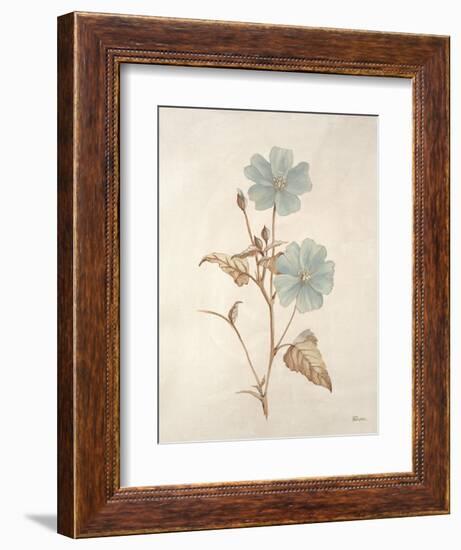 Botanicals Series Blue I-Rikki Drotar-Framed Giclee Print