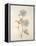 Botanicals Series Blue I-Rikki Drotar-Framed Premier Image Canvas