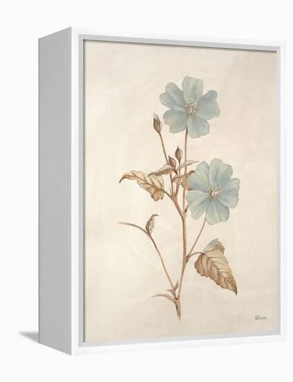 Botanicals Series Blue I-Rikki Drotar-Framed Premier Image Canvas