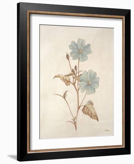 Botanicals Series Blue I-Rikki Drotar-Framed Giclee Print